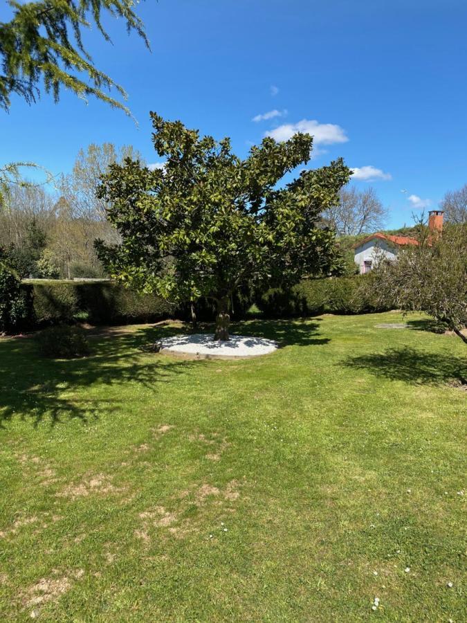 A Finca Do Rio Vello Apartment Arzua Bagian luar foto